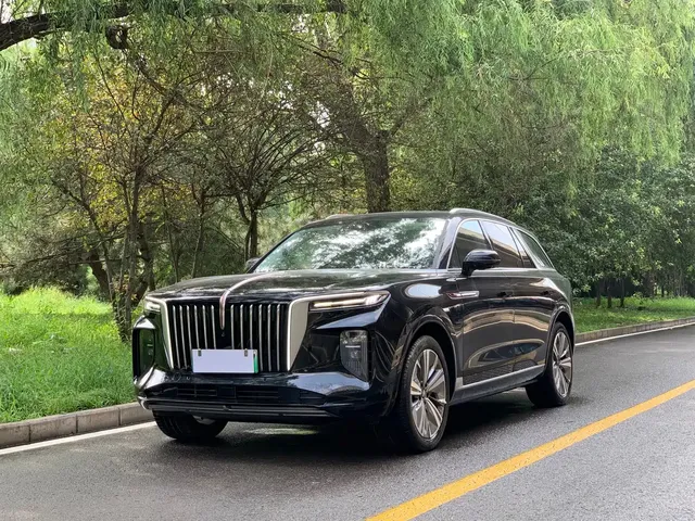 Hongqi E-HS9 2021 460km Flagship Comfort 6-seater