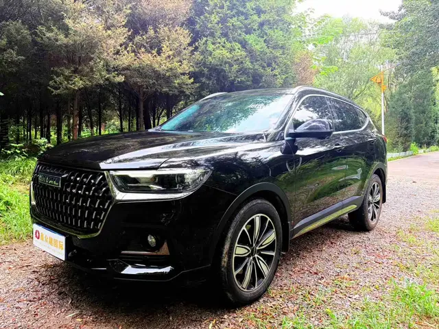 Haval H6 2023 National Trend Edition 1.5T Automatic Champion