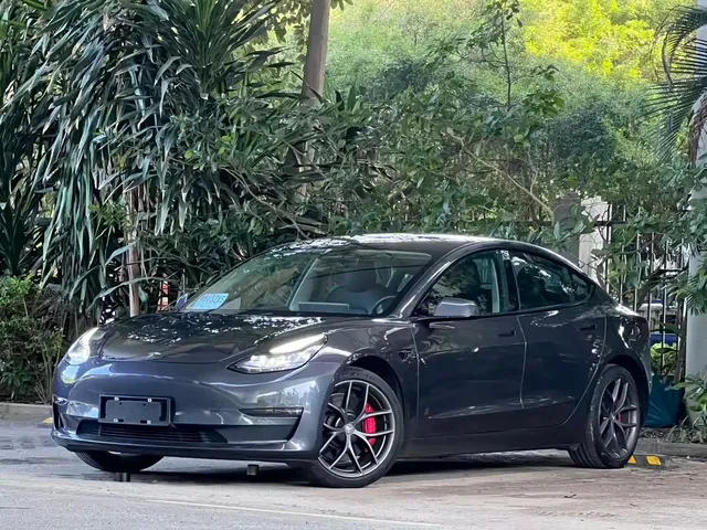 Tesla Model 3 2021 Second Facelift Performance High-Performance AWD Version