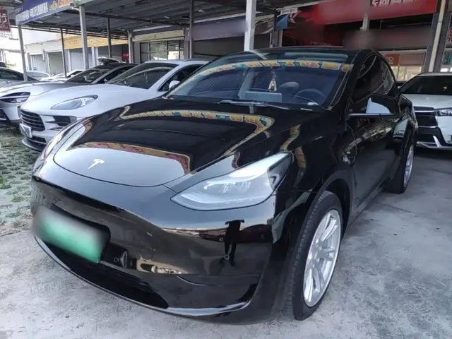 Tesla Model Y 2022 Rear-Wheel Drive Version