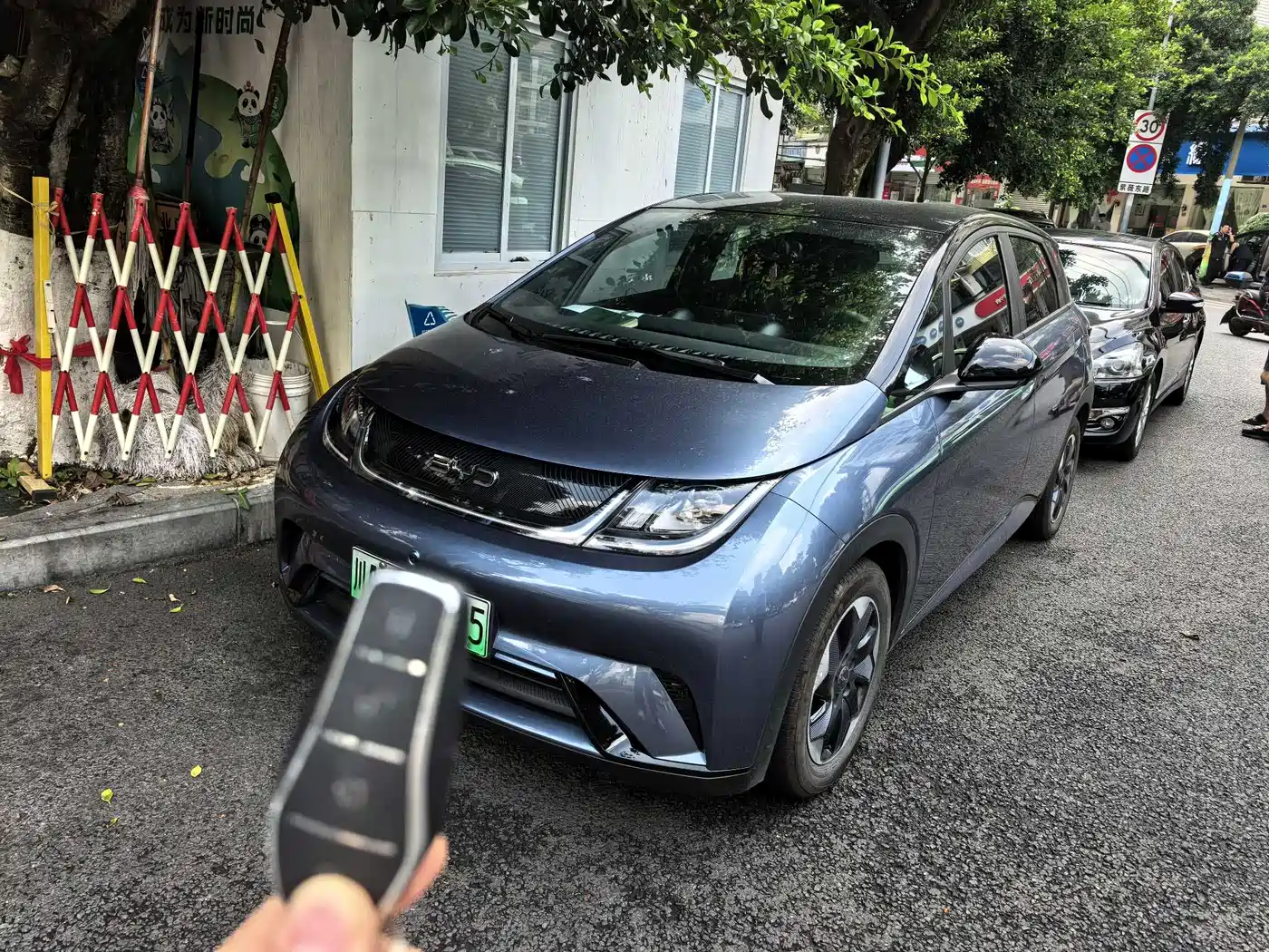 BYD Dolphin 2024 Glory Edition 420km Freedom Edition