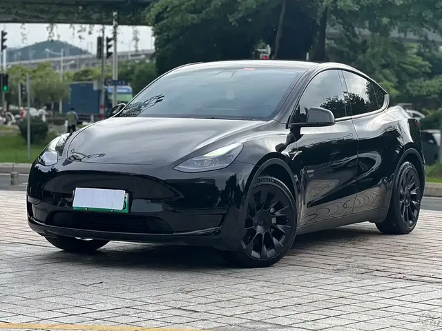 Tesla Model Y 2022 Rear-Wheel Drive Version