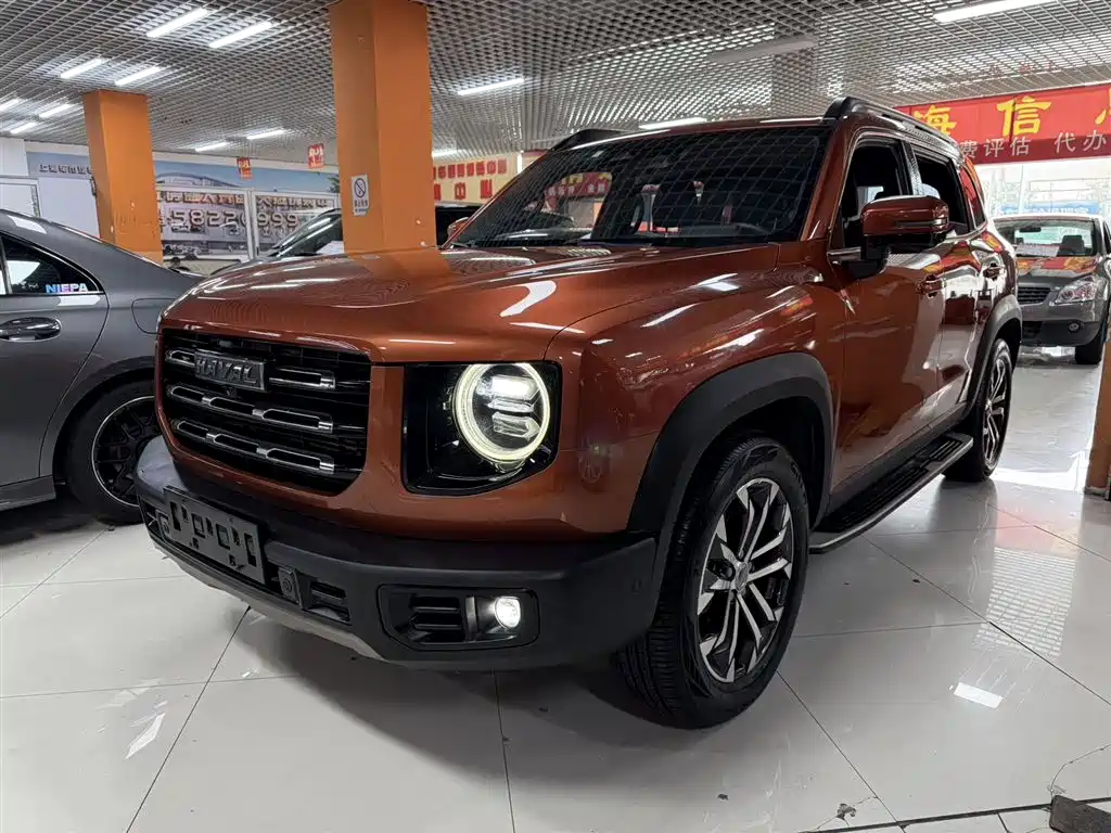 Haval Big Dog 2021 1.5T DCT 2WD Malinois - Wangcai Edition