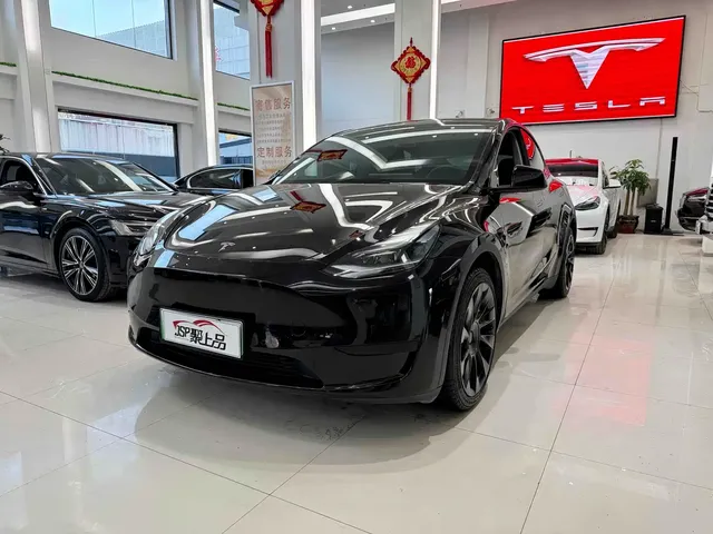 Tesla Model Y 2022 Rear-Wheel Drive Version