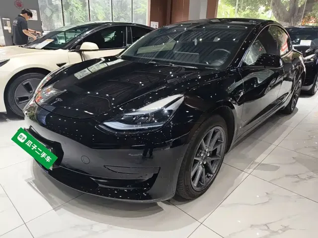 Tesla Model 3 2022 Model Rear-Wheel Drive Version