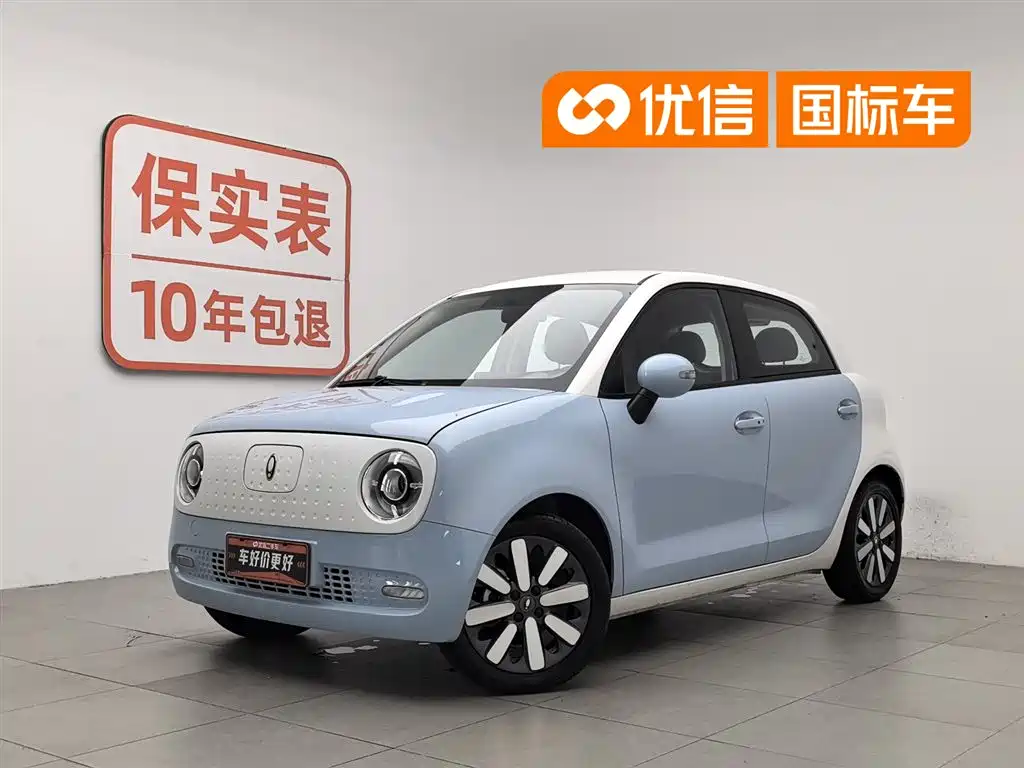 Ora Black Cat 2022 351km Standard (NMC)