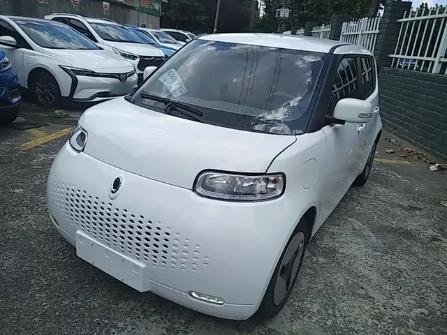 Ora White Cat 2020 360km Luxury Model