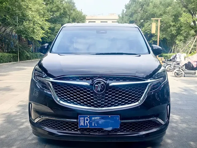 Buick GL8 2020 Avenir Six-Seat Elegance Edition