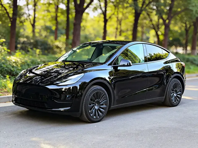 Tesla Model Y 2022 Facelift Rear-Wheel Drive Version