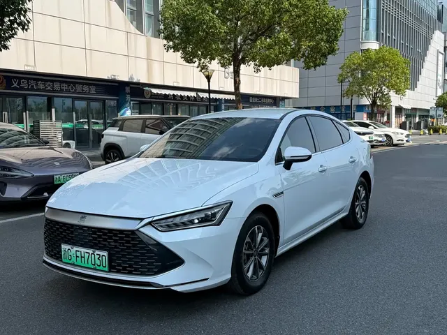BYD Qin PLUS 2024 Glory Edition DM-i 55KM Surpass