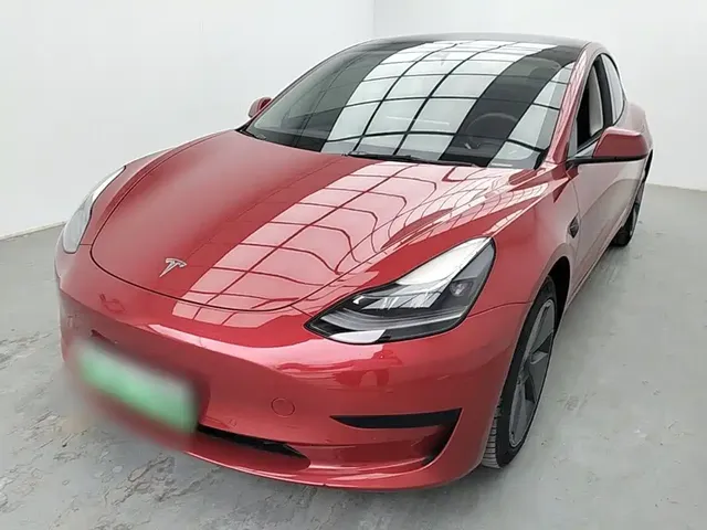 Tesla Model 3 2021 Standard Range Rear-Wheel Drive Upgrade 3D6