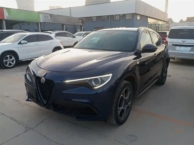 Alfa Romeo Stelvio 2019 2.0T 280HP Black Package Limited Edition