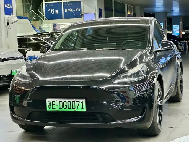 Tesla Model Y 2022 Rear-Wheel Drive Version