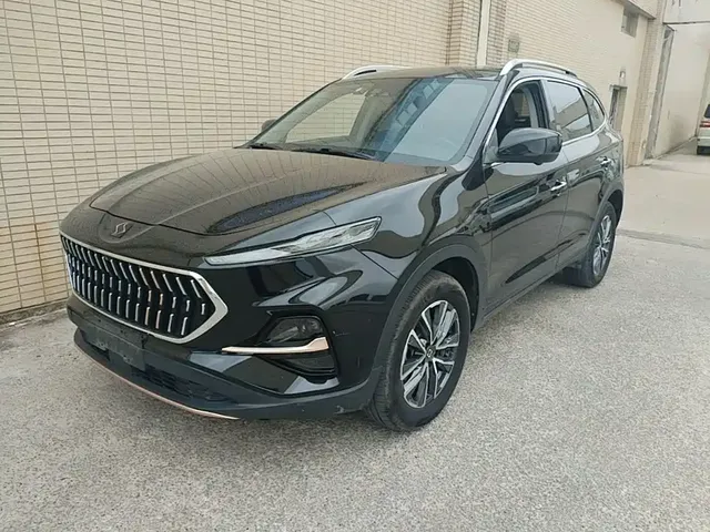 Sehol X7 2021 1.5T Flagship