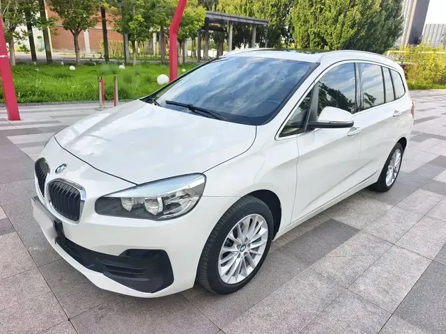 BMW 2 Series Gran Tourer 2019 220i Leading