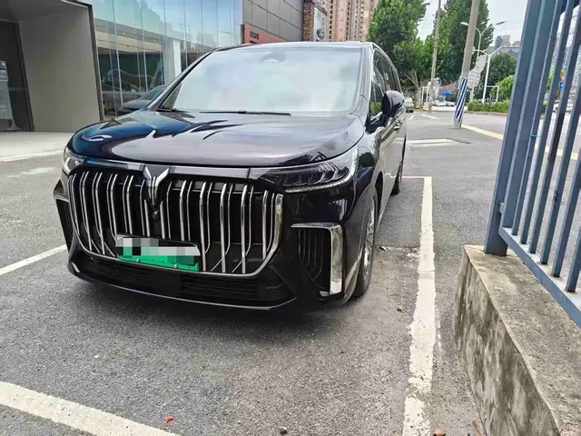 Voyah Auto Voyah Dreamer 2024 PHEV Extended Range Flagship Edition