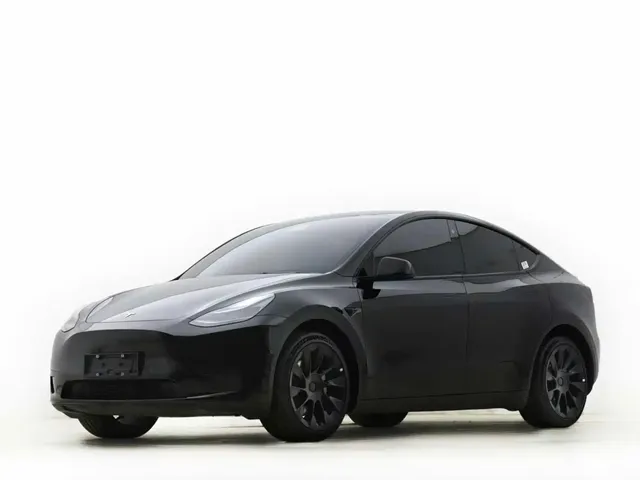 Tesla Model Y 2022 Rear-Wheel Drive Version