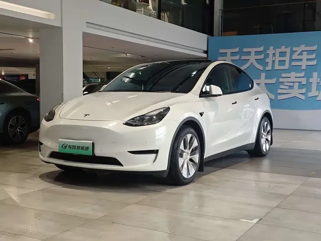 Tesla Model Y 2021 Standard Range Rear-Wheel Drive