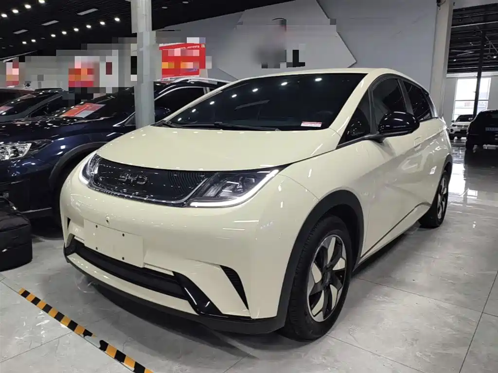 BYD Dolphin 2025 420km Freedom Edition