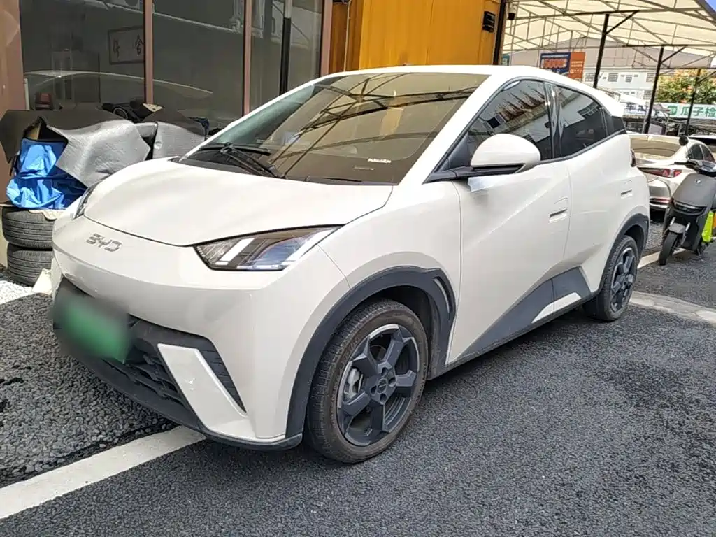 BYD Seagull 2024 Glory Edition 405km Soaring Edition