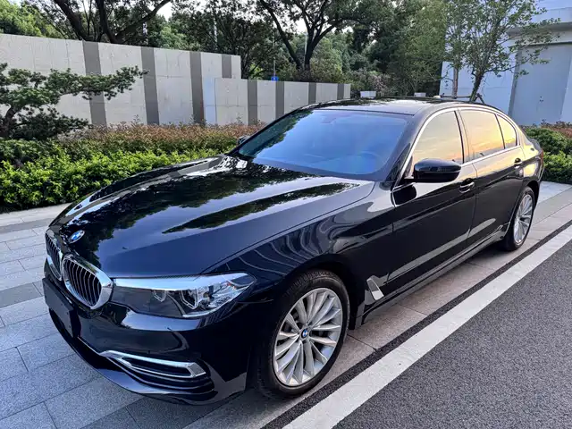 BMW 5 Series 2019 530Li Leading Luxury Package