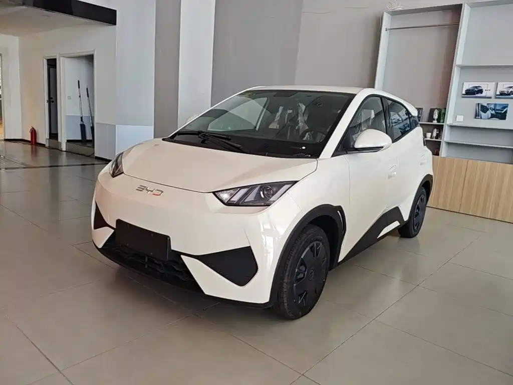 BYD Seagull 2025 Smart Drive Edition 305km Vitality Version