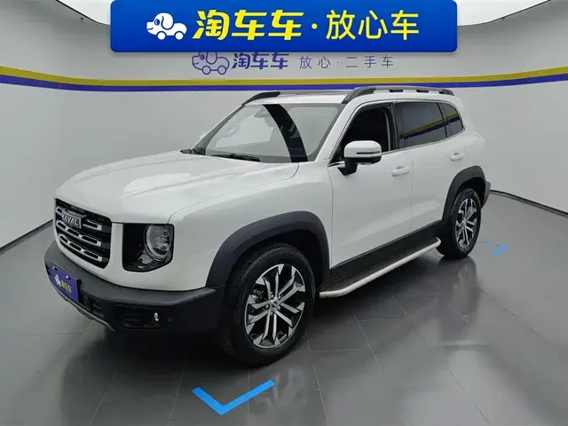 Haval Big Dog 2021 1.5T DCT 2WD Border Collie - Wangcai Edition