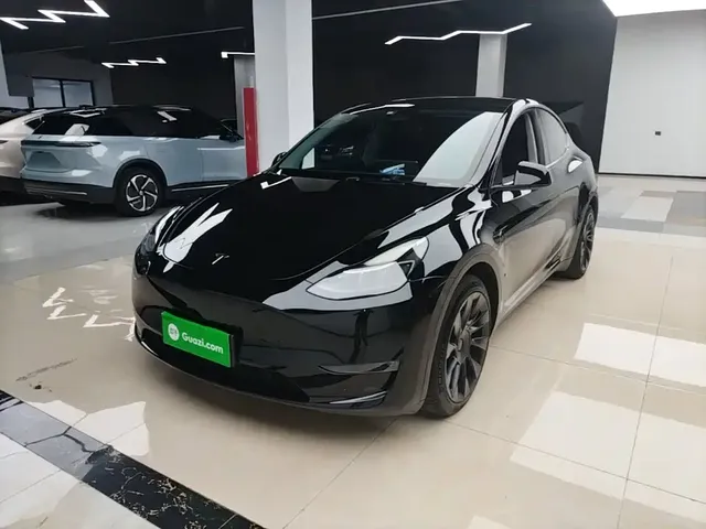 Tesla Model Y 2021 Standard Range Rear-Wheel Drive