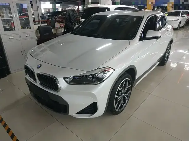 BMW X2 2020 sDrive25i Premium M Off-Road Package