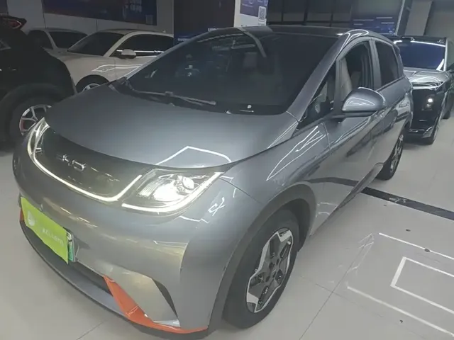 BYD Dolphin 2021 Model 405km Fashion Edition