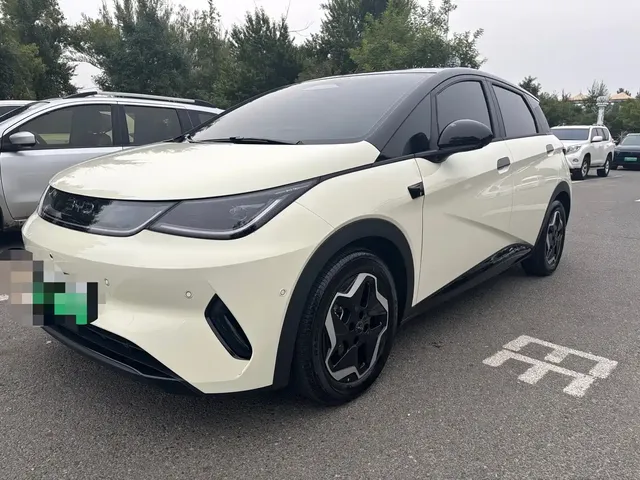 BYD Dolphin 2025 Smart Drive Edition 420km Freedom Version