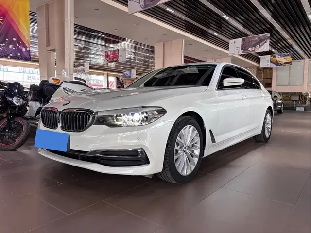 BMW 5 Series 2019 530Li Leading Luxury Package