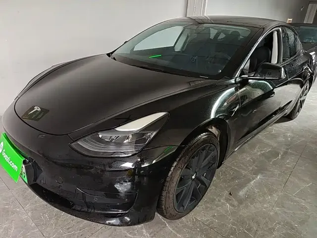 Tesla Model 3 2022 Model Rear-Wheel Drive Version