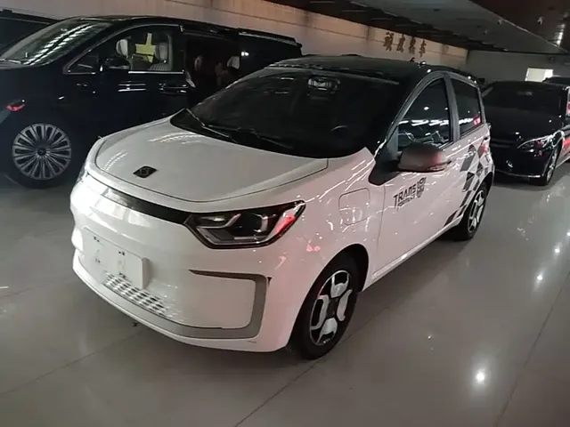 Sehol Flower Fairy 2021 302km Luxury Edition 31.4kWh