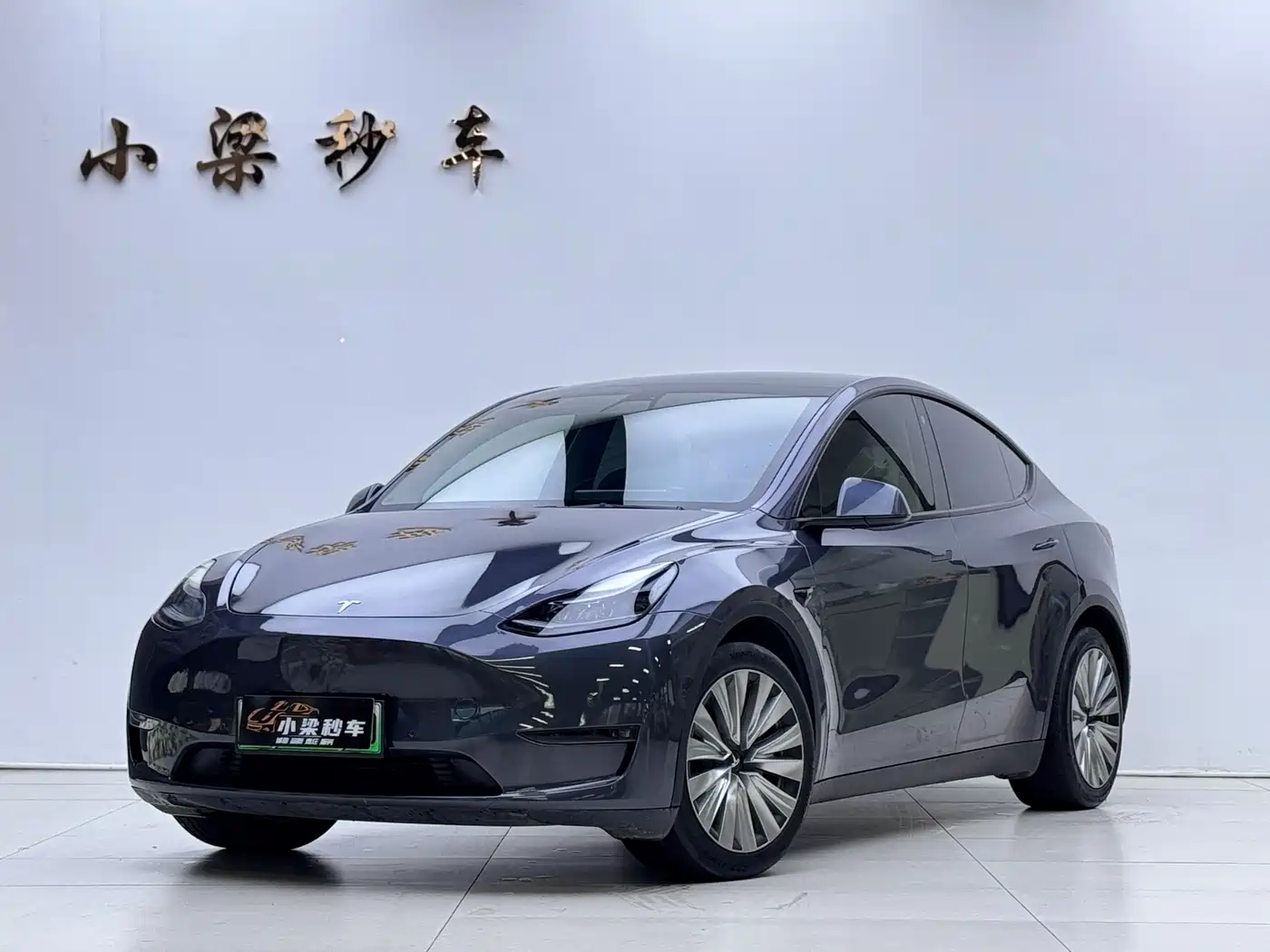 Tesla Model Y 2021 Standard Range Rear-Wheel Drive
