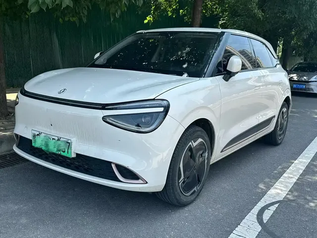 Dongfeng Yipai Nano 01 2024 330 Plus