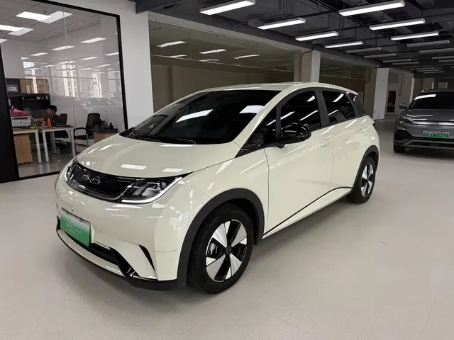 BYD Dolphin 2023 420km Freedom Edition