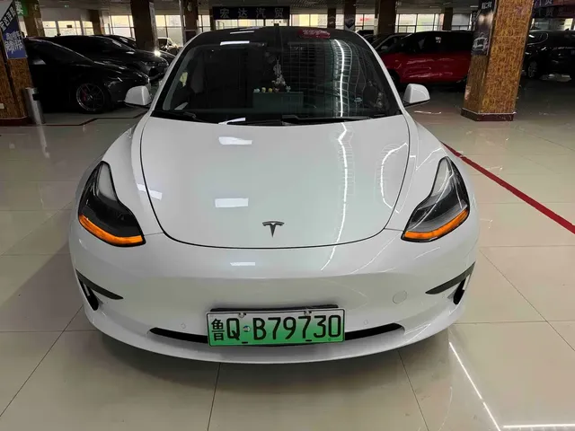 Tesla Model 3 2021 Standard Range Rear-Wheel Drive Upgrade