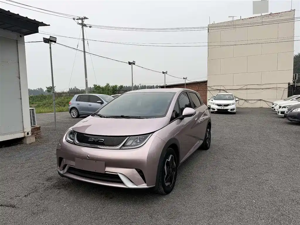 BYD Dolphin 2021 Model 405km Fashion Edition