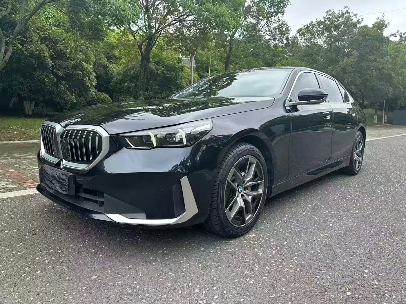 BMW 5 Series 2025 530Li Leading Luxury Package