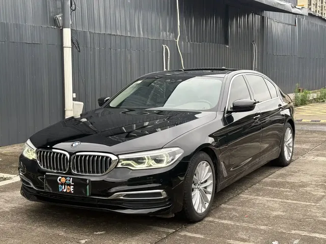 BMW 5 Series New Energy 2020 530Le Range Upgrade Luxury Package