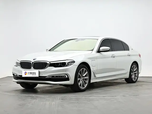BMW 5 Series New Energy 2018 530Le Luxury Package