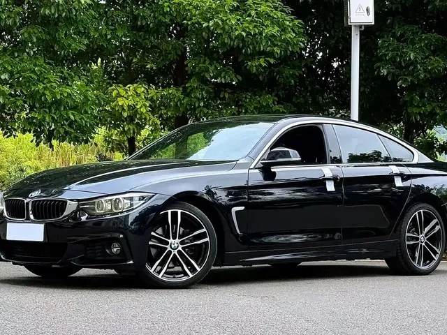 BMW 4 Series 2019 425i Gran Coupe M Sport Package