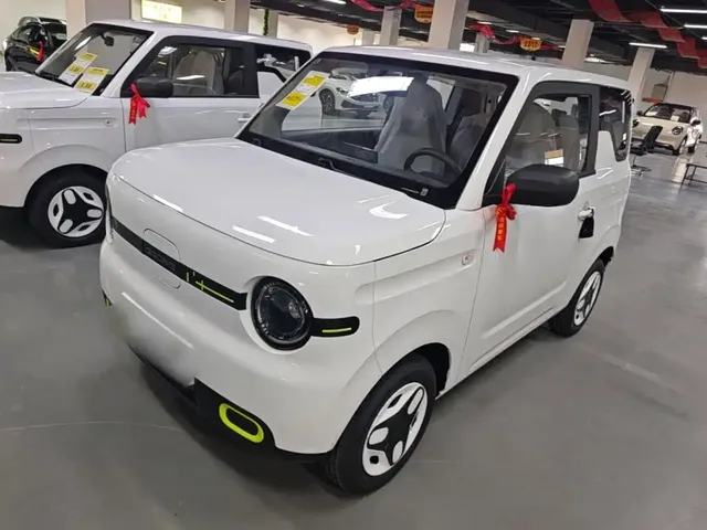 Geely Galaxy Panda 2025 Panda mini 210km Vitality Bear
