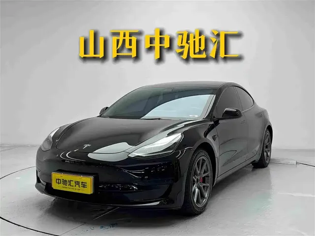 Tesla Model 3 2021 Standard Range Rear-Wheel Drive Upgrade 3D6