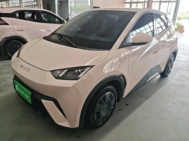 BYD Seagull 2024 Glory Edition 305km Vitality Edition