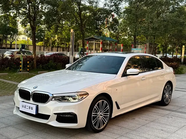 BMW 5 Series 2019 Facelift 530Li Premium M Sport Package