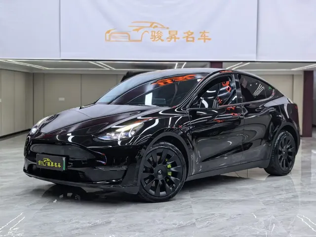 Tesla Model Y 2021 Standard Range Rear-Wheel Drive