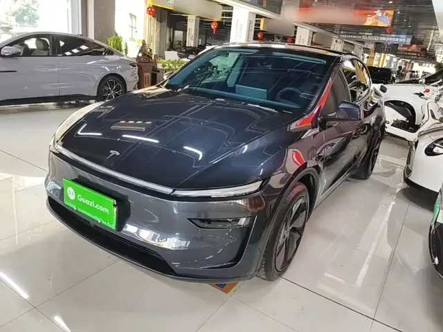 Tesla Model Y 2025 Model Rear-Wheel Drive Launch Edition