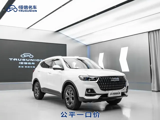Haval H6 2021 National Trend Edition 1.5T Automatic Urban Edition